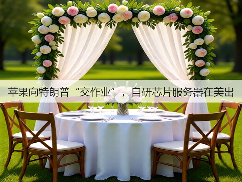 苹果向特朗普“交作业”,自研芯片服务器在美出(图1) 苹果向特朗普“交作业”,自研芯片服务器在美出(图1)