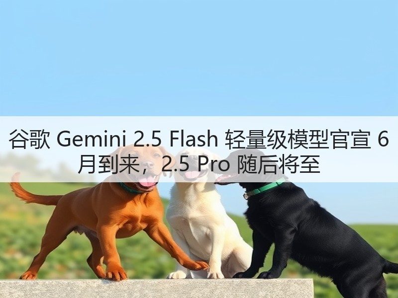 谷歌 Gemini 2.5 Flash 轻量级模型官宣 6 月到来，2.5 Pro 随后将至(图3)