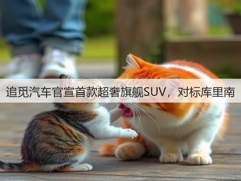 追觅汽车官宣首款超奢旗舰SUV，对标库里南(图2)