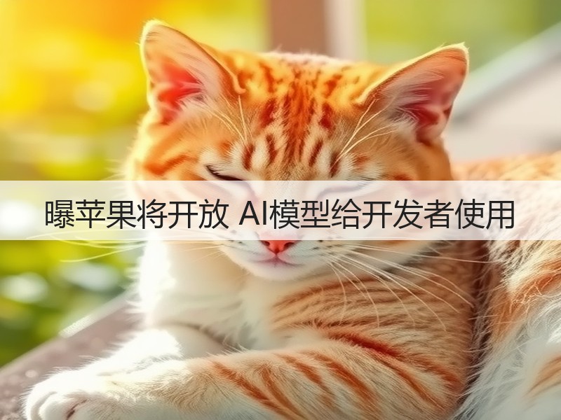 曝苹果将开放 AI模型给开发者使用(图2) 曝苹果将开放 AI模型给开发者使用(图2)