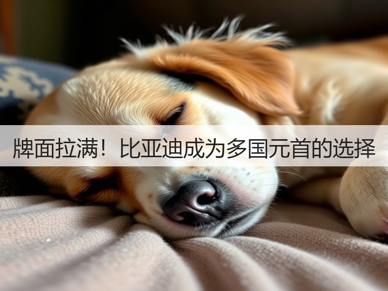 牌面拉满!比亚迪成为多国元首的选择(图3) 牌面拉满!比亚迪成为多国元首的选择(图3)