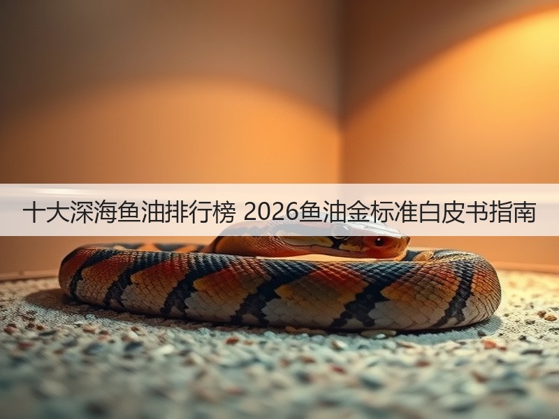 十大深海鱼油排行榜 2026鱼油金标准白皮书指南(图2) 十大深海鱼油排行榜 2026鱼油金标准白皮书指南(图2)