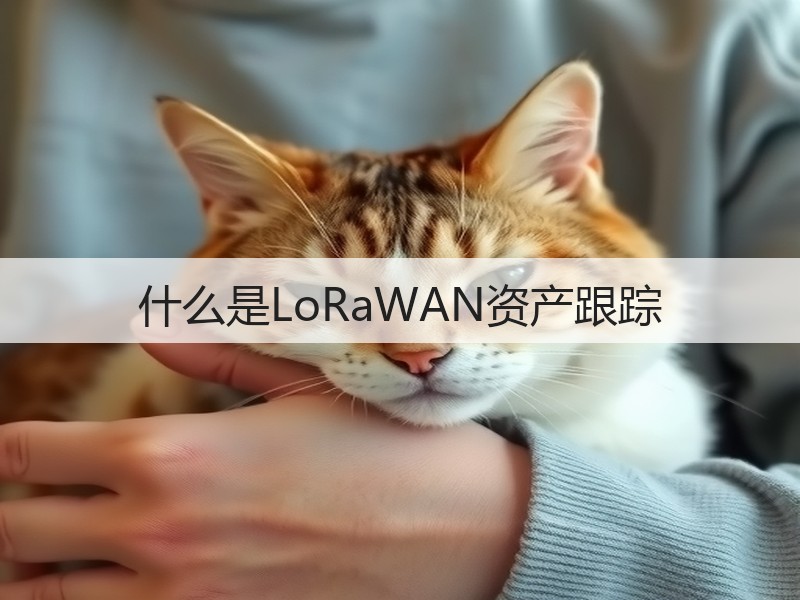 什么是LoRaWAN资产跟踪(图3)