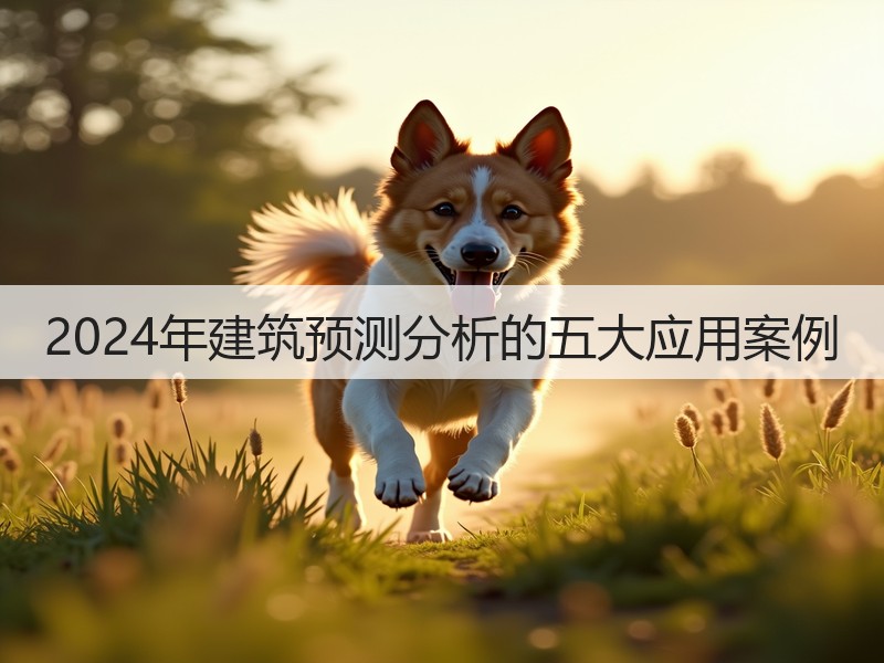 2024年建筑预测分析的五大应用案例(图2) 2024年建筑预测分析的五大应用案例(图2)