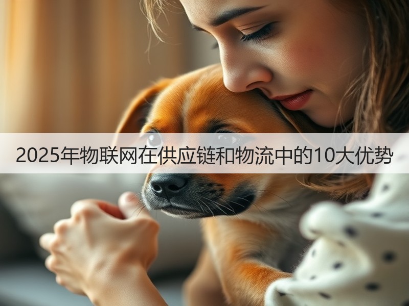 2025年物联网在供应链和物流中的10大优势(图3)