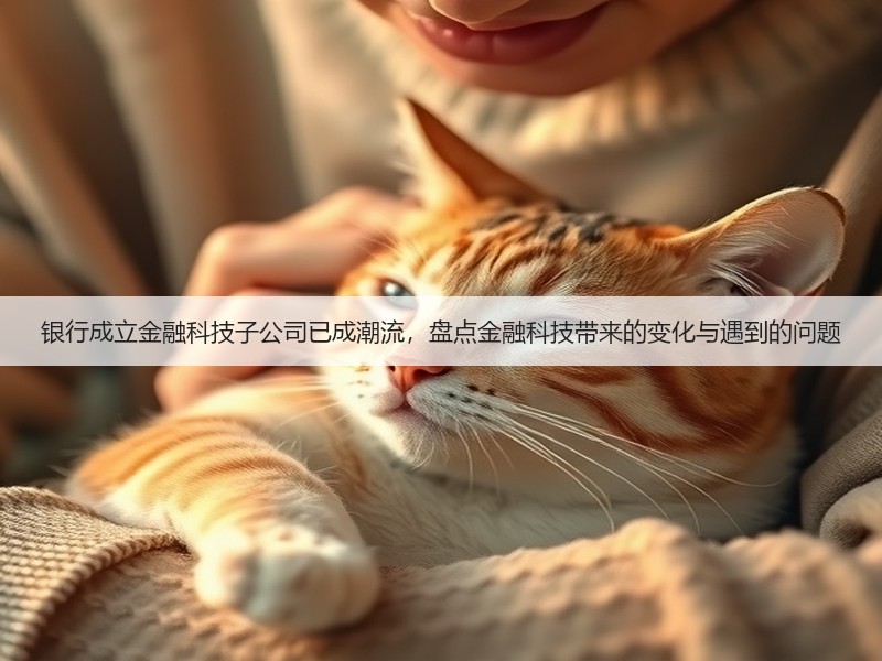 银行成立金融科技子公司已成潮流,盘点金融科技带来的变化与遇到的问题(图3) 银行成立金融科技子公司已成潮流,盘点金融科技带来的变化与遇到的问题(图3)