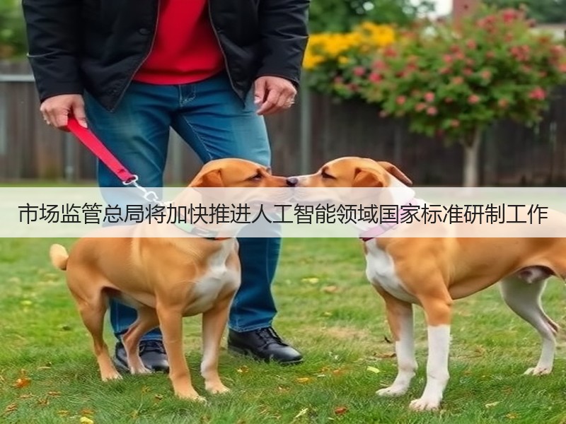 市场监管总局将加快推进人工智能领域国家标准研制工作(图3) 市场监管总局将加快推进人工智能领域国家标准研制工作(图3)