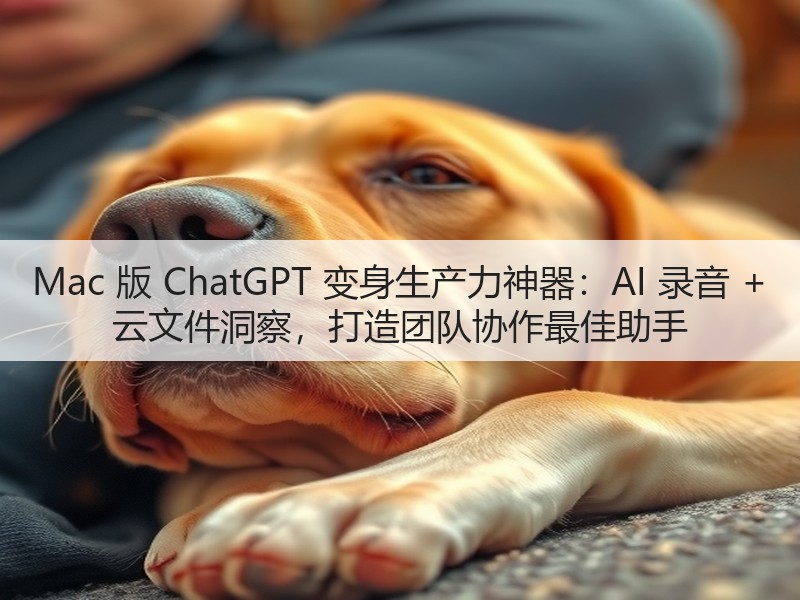 Mac 版 ChatGPT 变身生产力神器:AI 录音 + 云文件洞察,打造团队协作最佳助手(图3) Mac 版 ChatGPT 变身生产力神器:AI 录音 + 云文件洞察,打造团队协作最佳助手(图3)