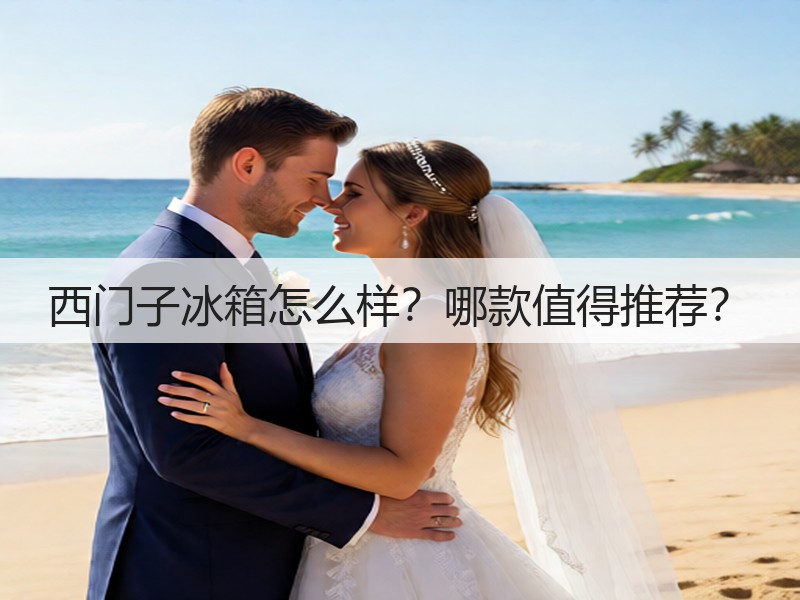 西门子冰箱怎么样?哪款值得推荐?(图3) 西门子冰箱怎么样?哪款值得推荐?(图3)