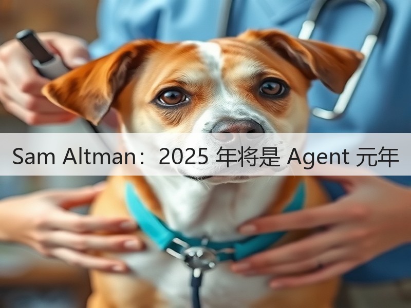 Sam Altman：2025 年将是 Agent 元年(图3)