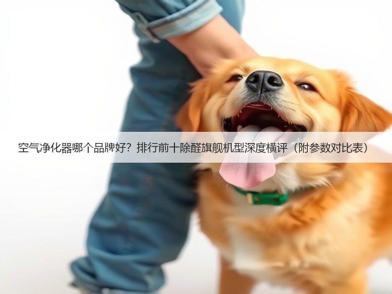 空气净化器哪个品牌好?排行前十除醛旗舰机型深度横评(附参数对比表)(图2) 空气净化器哪个品牌好?排行前十除醛旗舰机型深度横评(附参数对比表)(图2)